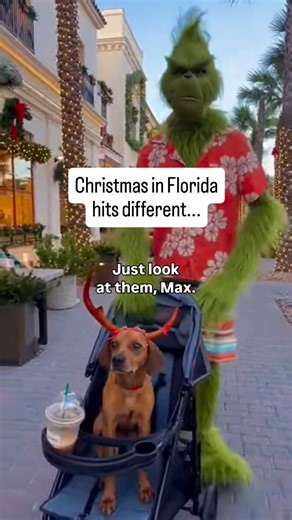 Naples Florida Life on Instagram: "Christmas in Florida hits different. The lights are up on Fifth Avenue South, the palm trees are wrapped like candy canes, and everyone is walking around with a frozen drink instead of hot cocoa. Naples has its own holiday personality and it never fails to make people laugh. Visitors expect snow and sweaters. Locals are over here wearing flip flops in December and talking about the humidity like it is a sport. This time of year brings out a special kind of Flor