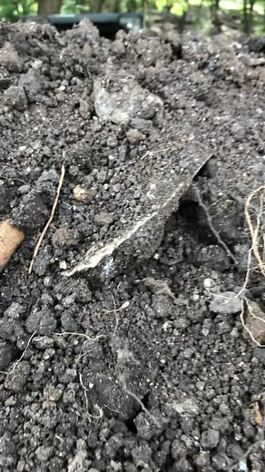 Discovering a Massive 8-Inch Artifact in Texas