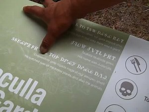 WCU has developed a Cherokee Garden. We've had it for a while but it is really special now. The plants are better tended and the faculty and students in graphic design and botany developed signs for the plants. Here Didehyohvsgi Udatlohida reads the explanatory sign at the entrance to the garden path. ᎯᎸᎯᏳ ᎠᎭᏂ ᎢᎾ ᎢᎦᏔ ᎠᏍᎦᏯ ᎡᎲᎢ. A long time ago in this area there was a giant. ᏧᎸᎧᎳ ᏧᏙᎢᏓ ᎨᏒᎢ. His name was Judaculla. ᏚᎦᏌᏍᏛᏃ ᎨᏒ ᏂᎦᏓ ᎠᏛᏍᎩ ᎠᎴᏍᏊ ᎠᏁᎯ. He watched over all the forest plants and also the anim