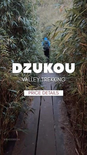 🌄 DZUKOU VALLEY TREK | Stay & Price Guide 🏕️