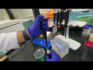 Protein Extraction