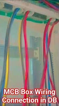 MCB Box Wiring | DB MCB Connection | MCB Connection #shorts #electric