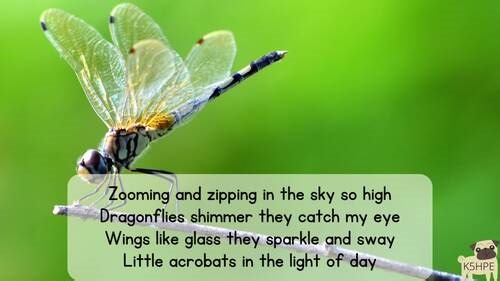 Music: Dragonfly Dance Song Classroom Songs Reading Lyrics Sing-along Insects