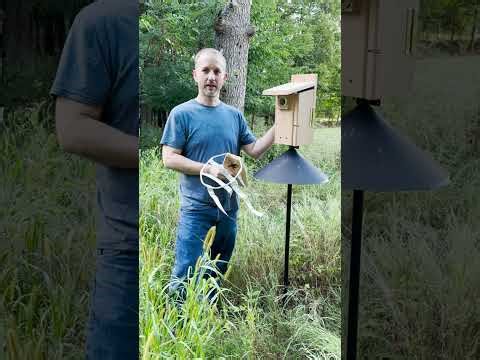 Sparrow Chaser Installation Demo