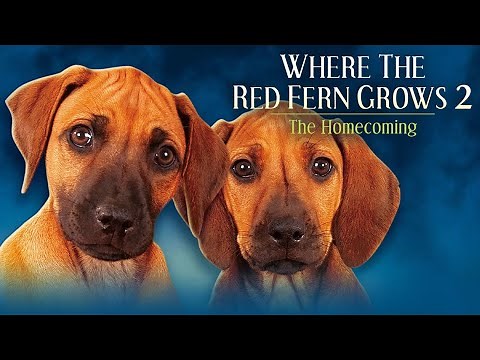 🐾 Where the Red Fern Grows: Part Two (1992) | Full Family Drama Movie | Fambrand Classic