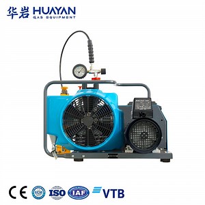 [Hot Item] 4500psi 300bar Oil Free High Pressure Air Compressor Scuba Compressor Diving Compressor