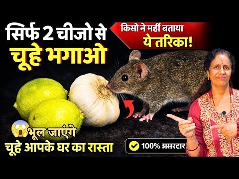 बिना मारे चुहे कोसो दूर भाग जाएंगे सिर्फ 2 चीज़ो से Proven Get Rid of Mouse/ Rats in 5 mins only