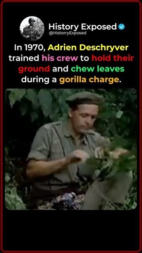 The Ranger Who Taught His Crew to Face Charging Gorillas 🦍🌿