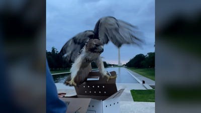 American Airlines flight returns to Las Vegas airport due to mechanical issue