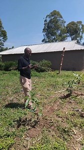 408K views · 1.8K reactions | Local Water engineer projecting if water exists in the ground. | Douglas Marigiri Nyandoro | Facebook