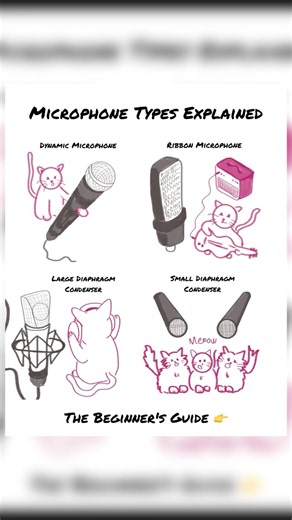 Microphone Types Explained: Visual Beginner's Guide (with cats)