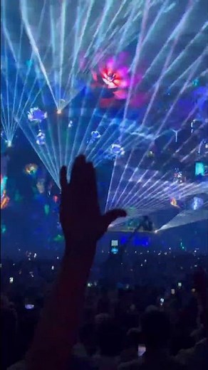 The Hum | Dimitri Vegas and Like Mike #tomorrowland #tomorrowland2024