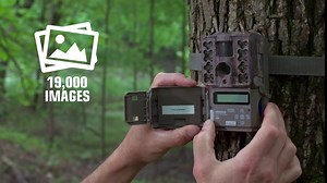 Moultrie M-Series Game Cameras (2017) | Management Series| 16 MP | 0.3 S Trigger Speed | 1080P Video | Moultrie Mobile Compatible