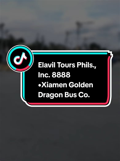 Elavil Tours: Trip Schedules and Requirements in January