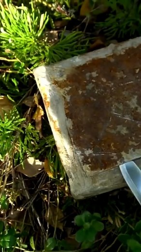 DUG UP A SEALED BOX OF THE 40S OF THE 20TH CENTURY WW2 METAL DETECTING | Metal Detecting WWII Battlegrounds