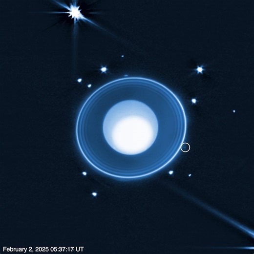 We’re not sitting on this one, Uranus has another Moon! Webb discovered an unknown moon orbiting the planet, expanding its known satellite family to 29. The newly discovered moon is estimated to be just six miles (10 km) in diameter, assuming it has a similar reflectivity (albedo) to Uranus’ other small satellites. We haven’t seen this moon before now, likely due to its small size rendering it invisible to earlier missions or telescopes. Of the planet's now 29 moons, this one is the 14th member 