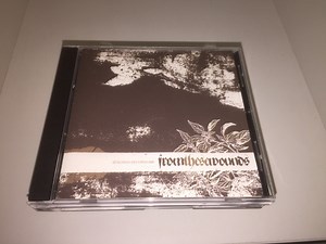 From These Wounds - From These Wounds