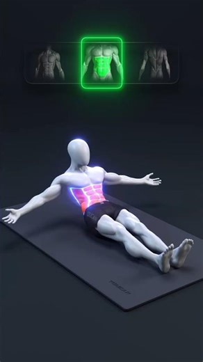 Daily Abs Workout for Beginners | Flutter Kicks Animation Tutorial #shorts