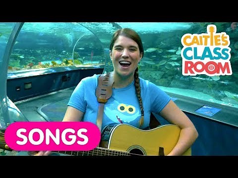 Sing The Baby Shark Song With Real Sharks At The Aquarium!
