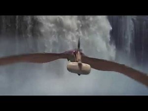 The Land Before Time III: The Time of the Great Giving trailer