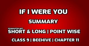 If I Were You Summary Class 9 pdf | Short & Long | Point Wise | From book Beehive