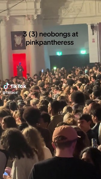 Exploring Neobongs at PinkPantheress Concert