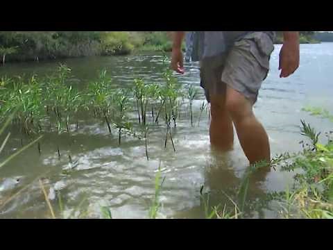 128b-Wet Look Lake In Clothes, Getting Soaked