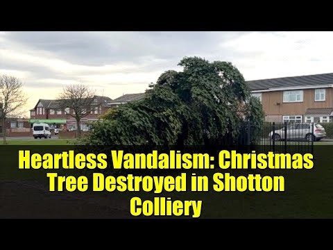Heartless Vandalism: Christmas Tree Destroyed in Shotton Colliery