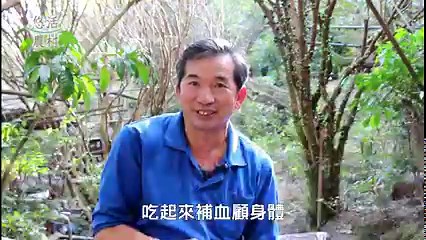 3.5K views · 60 reactions | 【蔓藤上的紫寶石竹崎樹葡萄高營養綜合風味】...