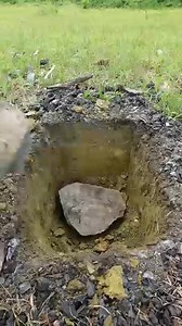 Food in forest recipe | food in forest