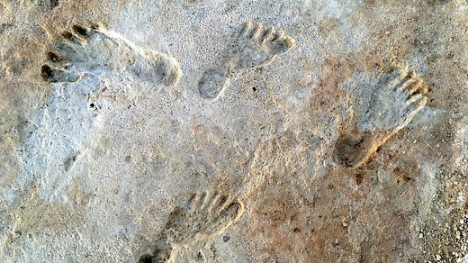 8 Ancient Archaeological Sites That Pre-Date the Clovis People