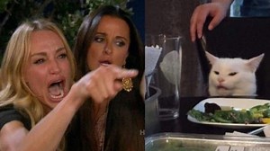 Habló la dueña de Smudge, el gato del meme: “No entiendo cómo se hizo tan popular”