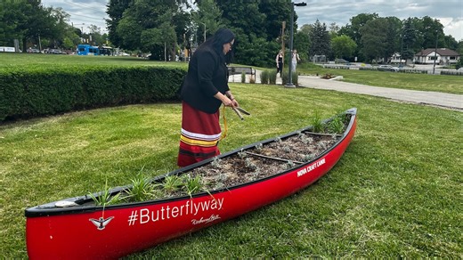 Indigenous medicine gardens are popping up in this GTA city