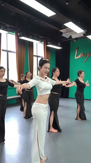Professional Belly Dance Performance Videos