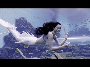 Underwater mermaid vision | Beautiful and sparkling mermaids daily swimming