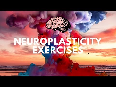 Neuroplasticity Exercises Course | Rewire Your Brain with Neuroplasticity
