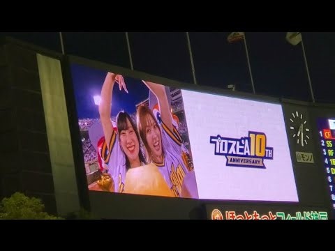 20250531 Bsハイライト〜5回ｳﾗ終了までのｵﾘｯｸｽ･ﾊﾞﾌｧﾛｰｽﾞの攻守･好打･好プレーシーン〜 ｵﾘｯｸｽ･ﾊﾞﾌｧﾛｰｽﾞ主催試合@ほっともっとﾌｨｰﾙﾄﾞ神戸･ﾚﾌﾄ外野