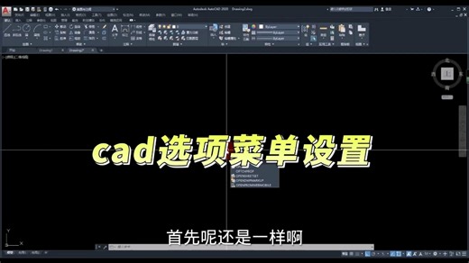 cad选项菜单设置