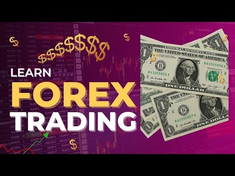 Beginner Forex Trading Course