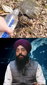 378K views · 4.4K reactions | "Turtle Bite: What to Expect and How to React"#TurtleBite #TurtleAttack #WildlifeSafety#AnimalBites #TurtleConservation #ReptileEducation | JoT Tv Australia | Facebook