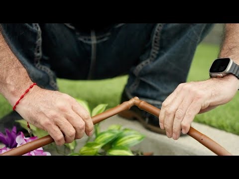 Save Water, Reduce Maintenance: Discover Toro Drip In®
