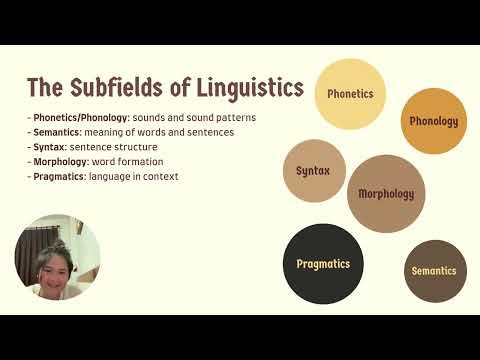 The Subfields of Linguistics