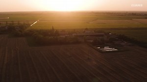 1.8K views · 75 reactions | "I chose the TRION 650 because of its proven threshing system and the many assistance systems." Watch the video to find out how David Lalonnier's new TRION 650 is performing in the dried marshland of the Marais Poitevin adjacent to the Atlantic coast. Find more information here ➡ https://claas-int.com/TestimonialFrance #claas #claasTRION #TRION #fitsyourfarm #claas #newclaas #claascombine #farming #agriculture | CLAAS | Facebook