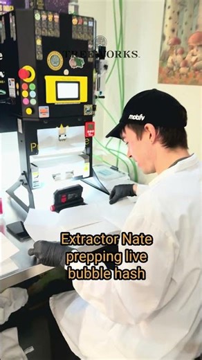 Most people don’t know how live hash rosin is actually made 👇🏽