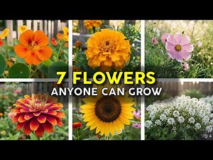 7 Easiest Flowers to Grow for Beginners (Even If You’ve Never Planted Before!)