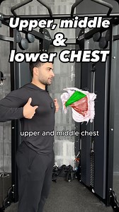 54K views · 37 reactions | The chest muscles (pecs) are often thought...