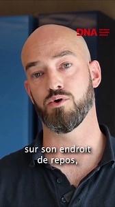 Si les interventions pour des infestations à la punaise de lit ont augmenté en #Alsace comme ailleurs ces derniers mois, les professionnels locaux relativisent le phénomène et invitent la population à la pondération. Jonathan Buckley, gérant de la société ATN, spécialiste de la détection canine basée à Rosheim, explique son métier et donne quelques recommandations de bon sens. | Dernières Nouvelles d'Alsace - DNA