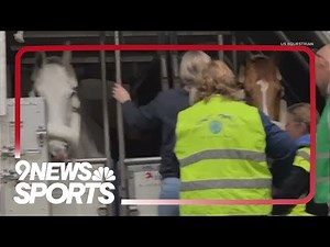 How Olympic equestrians transport their horses to the Paris for the Olympic Games