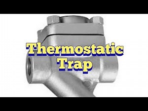 thermostatic steam trap working animation
