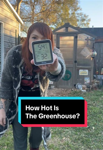 Maximize Winter Gardening with a Greenhouse